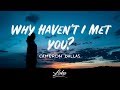 Cameron Dallas - Why Haven't I Met You? (Lyrics)