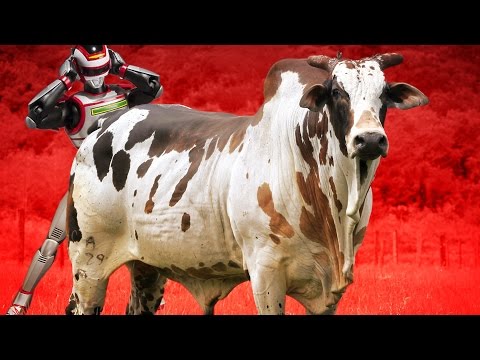 Jaspion - Coma um boi