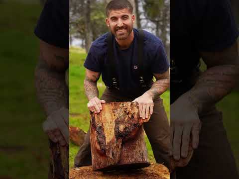 This is in my top #3 of all time 🪓 #axe #axereview #test