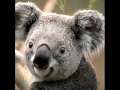My Slideshow On YouTube