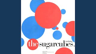 Fucking In Rhythm &amp; Sorrow (Live)