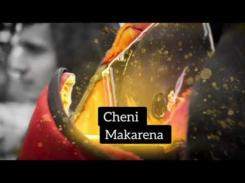 CHENI - MAKARENA / PANAMERA prod by @аnelаygyun (Official Visualizer)