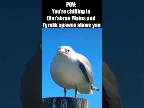 Fyrakk Assaults In A Nutshell