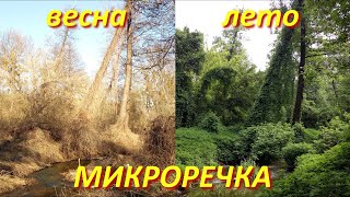 Рыбалка в средней полосе россии лето 2020