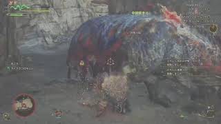 ケマチャレで武器練習　無言