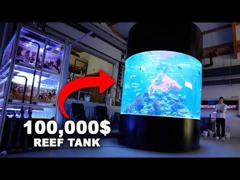 100,000$ REEF AQUARIUM + Germany's biggest coral farm!!! *30,000 animals*