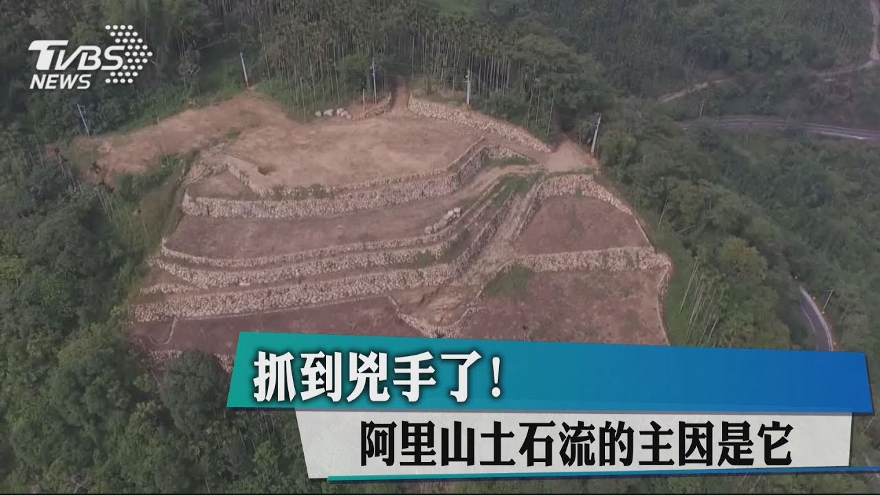 抓到凶手了! 阿里山土石流的主因是它