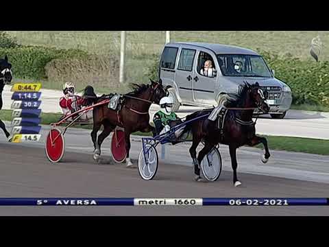 Aversa trotto 6 Febbraio 2021 - 5° Corsa