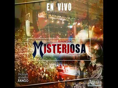 Banda Misteriosa Mi Gusto Es, El Sauce Y La Palma, El Sinaloense