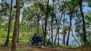 A Calm Day in the Mountains | Resting, Watching the Forest & Listening to Nature