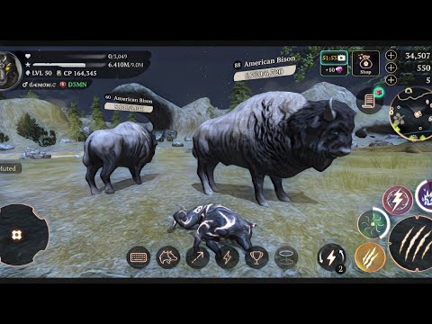 The Wolf - 3k Cursed Wolf vs Green Hills Coop