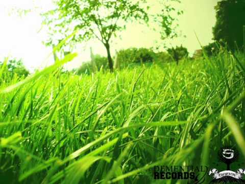 Shibby - E doar un trip