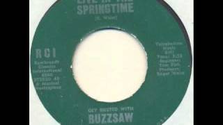 Buzzsaw - Live in the springtime (garage psych)