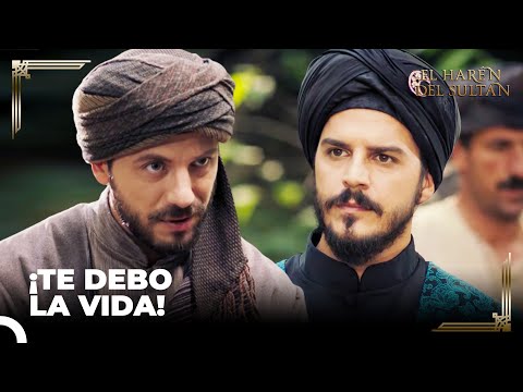 ¡El Príncipe Mustafá Se Llevó A Taslicali Con Él!