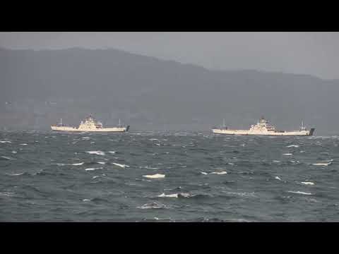 Maltempo a Reggio Calabria: le immagini del forte vento che "spazza" la città