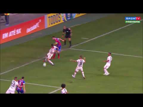 The greatest 20 seconds of football you will ever see in your life