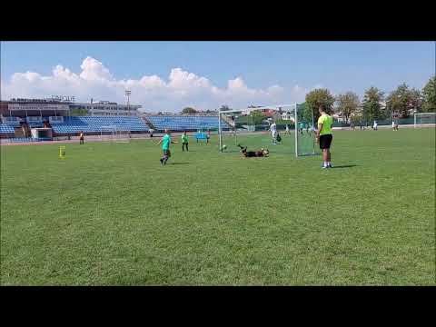 Fer Plej Cup 2023 1/4 Finale  Fc Young Team - Fer Plej (pen 3:2 )  U9