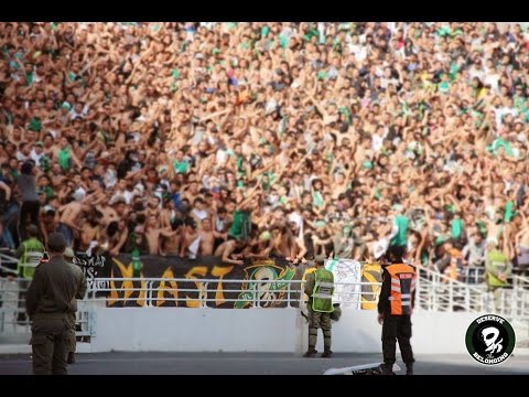 GREEN BOYS 05 || AMBIANCE _ irt vs rca 2016/2017