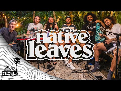 Native Leaves - Full Set (Live Music) | Sugarshack Sessions