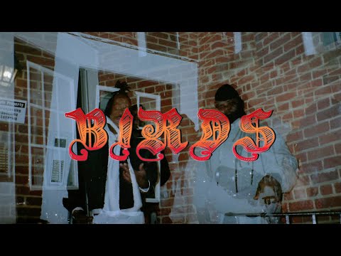 NATE BONE x LIL LOS - BIRDS OFFICIAL MUSIC VIDEO Shot by @95Production & @BigHolmes_