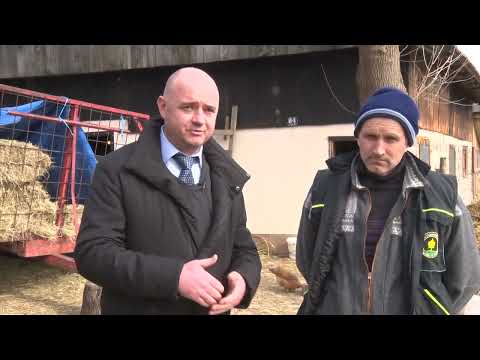 Darovi zemlje: Tri uzorne maglajske farme