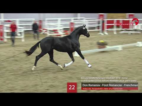 22 Hengst v. Don Romanov - Fürst Romancier - Frenchman