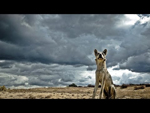 BuitenGewoon 15 september 2018