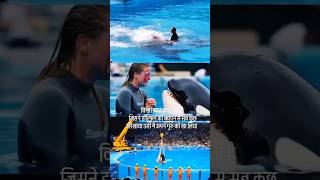 Download lagu Dolphin 😭 #youtubeshorts #dolphin #dolphins #trendingshorts #youtubeshorts mp3 Download lagu Dolphin 😭 #youtubeshorts #dolphin #dolphins #trendingshorts #youtubeshorts mp3