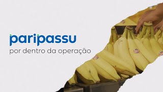Miniatura do vídeo