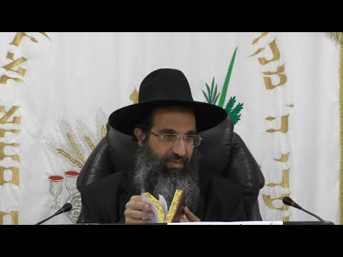 ארבעת המינים 💸 לא נותנים יד להפקעת מחירים | הרב שי עובד | חמישי - שבת כיפור - תשפה