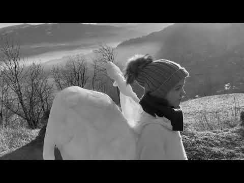 Antonio Vivaldi - Linguis favete, omnes silete - Pandolfis Consort