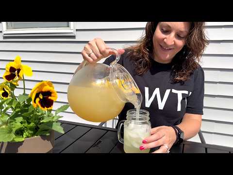 Amazing Abby - Fruity Vively Max - Plastic Pitcher with Fruit Infusion Tube (120 oz) - WTI product video review