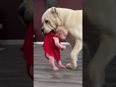 Baby: it's blatantly trying to seduce me. #cutebaby #funnyvideo #babylove #fyp #kids