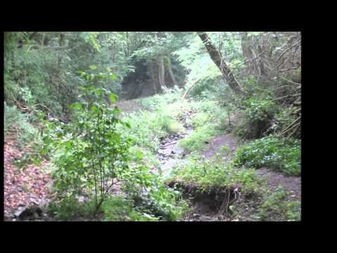 Moselsteig Cochem Beilstein