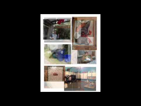 Pecha Kucha Dayton Vol 21 - Amelia Robinson