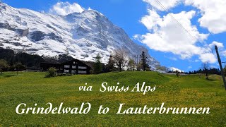 Grindelwald to Lauterbrunnen via Swiss Alps | Switzerland Train Journey 4K Video
