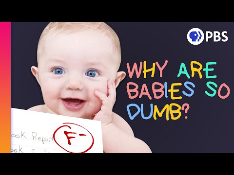 Humans Are Smart. Why Are Babies So Unsmart?