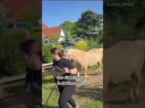 Binnen een uur liep Jack zo zelf de trailer op!