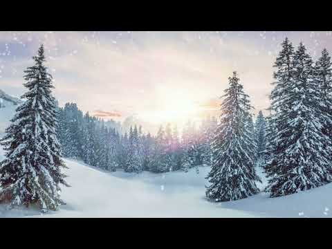 Alexander Daf & Vena Portae - Im Norden