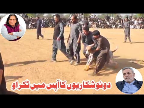 pakistani top bully dogs | khan saheb & fawad gujjar saheb | champion big bully dogs | sial daily