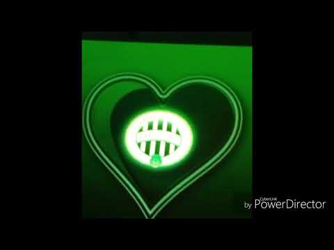 Bajnok lett a Ferencváros!