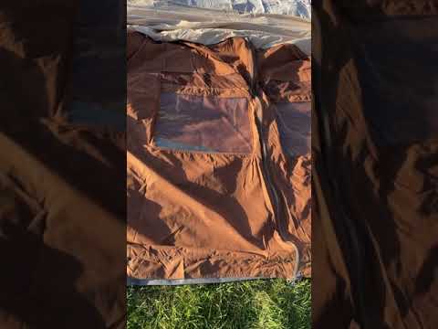 De Waard Zilvermeeuw - 220321