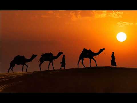 Stive Morgan & Zov Predkov - New Asia (Stive Morgan Remix)