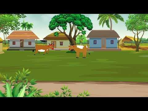 "Two Cow Walking in The Field I Animating a Cow in Adobe Character Animator🐄🌳"