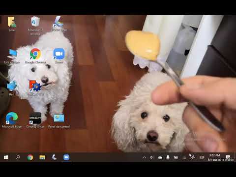 2020 08 19 PM Public Teaching in Spanish - Enseñanzas públicas en Español