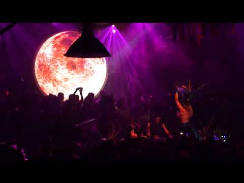 damian lazarus at wild as the moon from the gardens of babylon in the marktkantine