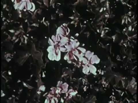 State Of House - Pacific Dance (Original Mix) (1993)