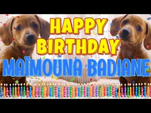 Happy Birthday Maïmouna Badiane! ( Funny Talking Dogs ) What Is Free On My Birthday
