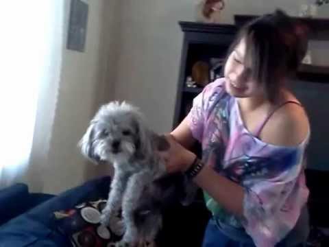 Kaylin and my dog Osa!