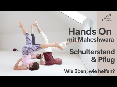 Schulterstand & Pflug mit Maheshwara | Worauf kommt es an? | Wie kann ich als Yogalehrer*in helfen?
